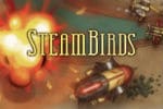 SteamBirds Survival Game