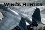 Wings Hunter Game – Airplane Shooting Games